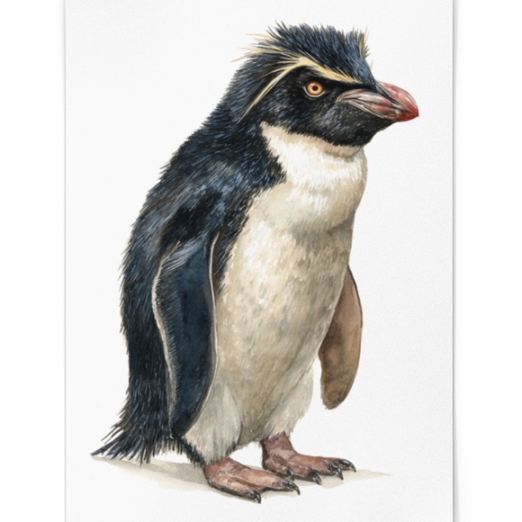 Watercolor Erect-Crested Penguin Wall Art Print Unframed - Antarctic Charm - Picture 2 of 7